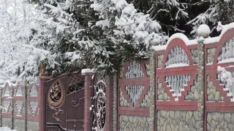 Fence spruce Video stock 72351370