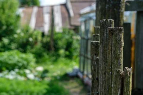 Fence of sticks closeup. Stock Photos