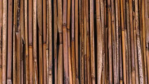 Fence of straw Stock Photos