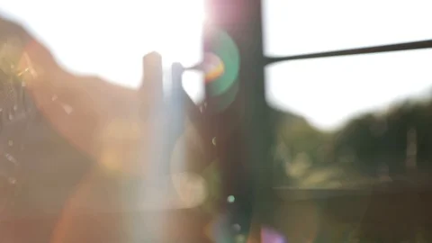 Fence Sunflare Video stock 90860925