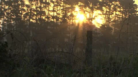 Fence Sunrise Stock Footage 10959518