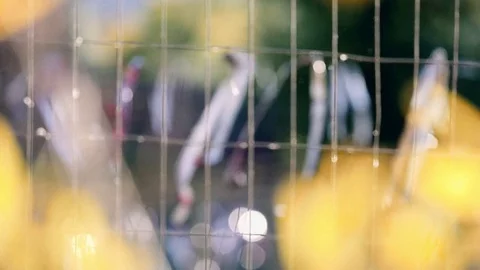 Fence with tags in the wind Stock Footage 76593431