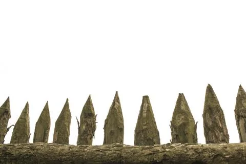 Fence of thick stakes. Stock Photos