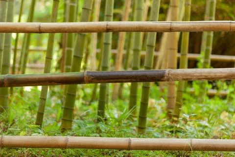 Fence of thin bamboo Stock Photos