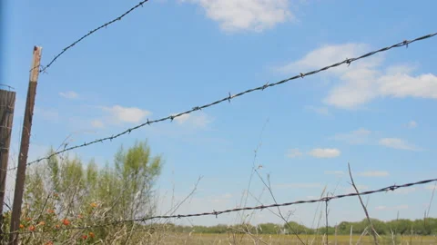 Fence Timelapse Bright blue sky Stock Footage 134813894