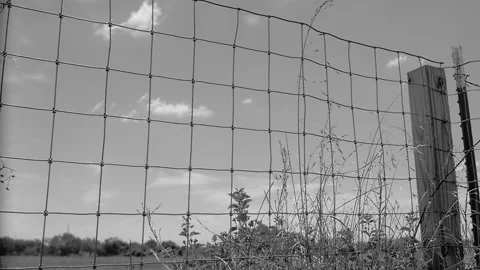 Fence Timelapse B&amp;W Stock Footage 135040465