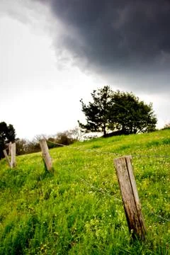 Fence, tree and clouds Stock Photos