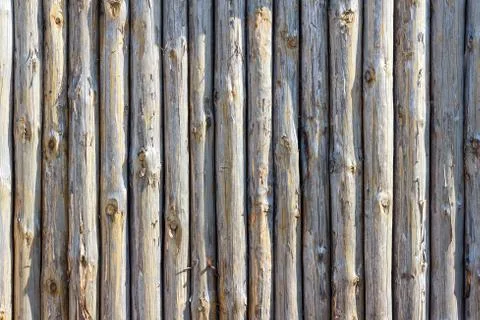 Fence from trunks of trees Stock Photos