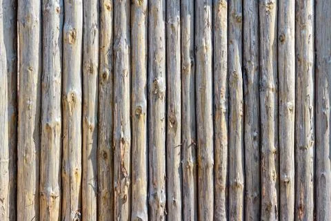 Fence from trunks of trees Stock Photos
