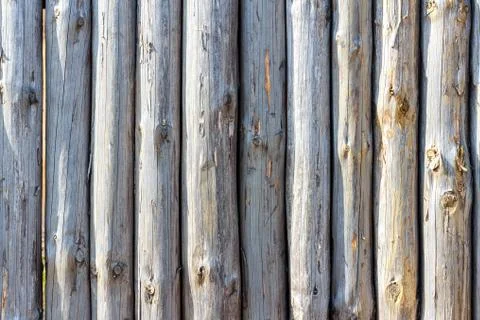 Fence from trunks of trees Stock Photos