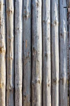 Fence from trunks of trees Stock Photos
