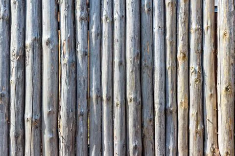 Fence from trunks of trees Stock Photos