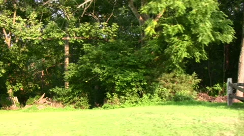 Fence two Stock Footage 144520