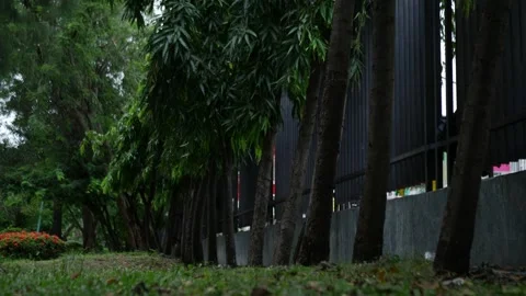 Fence Under Big Trees in Green Park Stock Footage 325420207
