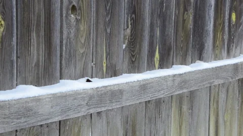 Fence under snowfall in the winter. Stock Footage 145021577