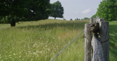 Fence With A View Stock Footage 50947145