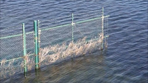 Fence in water 库存影片 72730176