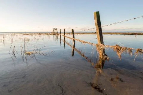 Fence in Water Stock Photos