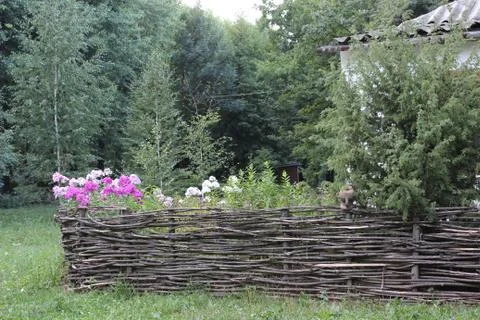 Fence from wicker branches. Stock Photos