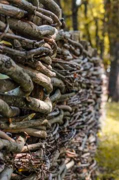 Fence wicker from the vine Foto stock