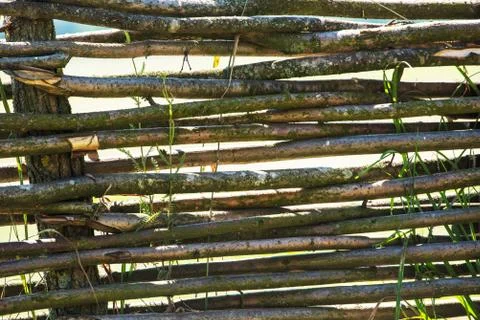 Fence wicker from the vine, texture, background. Wicker vine fence. woven vin Stock Photos
