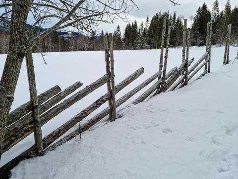 Fence in winter Stock Photos