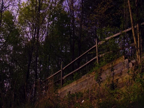 Fence in the woods Stock Footage 75772780