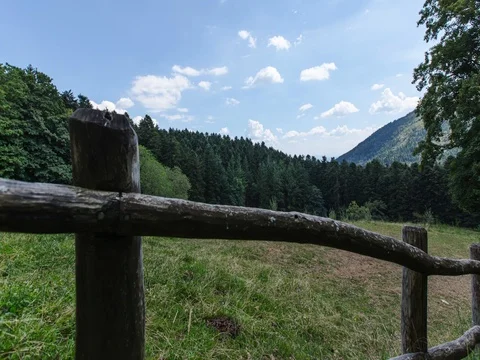 Fence in the woods Stock Footage 77508677