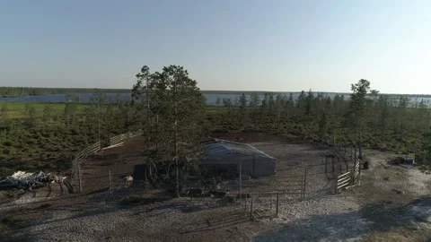 Fenced area of reindeers and open space of Siberia aerial view Stock Footage 281870083