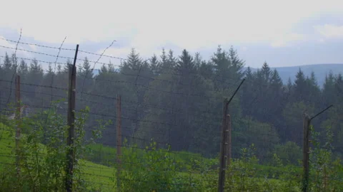 A fenced area surrounded with woods and mountains under pouring rain Video stock 299068815