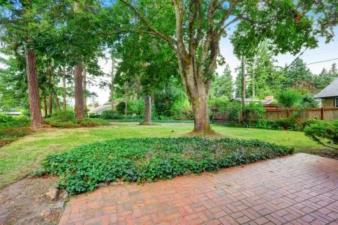 Fenced Backyard garden with red brick floor patio, trees and grass.  Stock Photos
