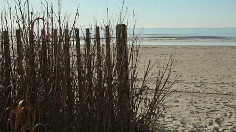 Fenced beach with winter sea grass Stock Footage 49228905