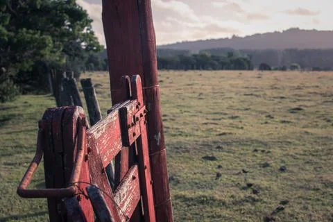 Fenced field gate Stock Photos