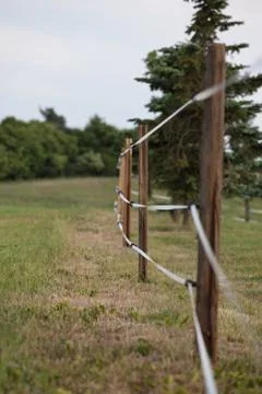 Fenced pasture Stock Photos