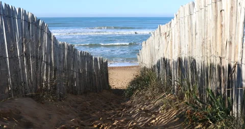 Fenced path to the beach Stock Footage 144245331