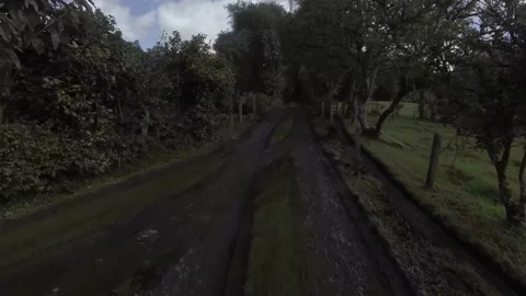 Fenced path between the trees Stock Footage 219832642