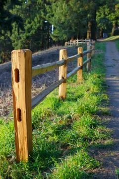Fenced path to woods Stock Photos