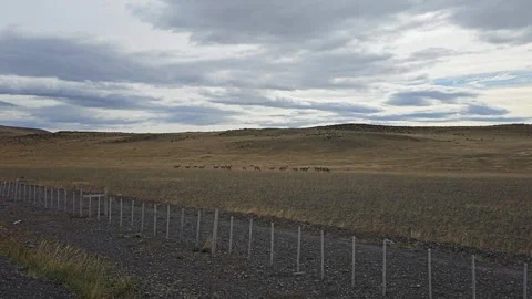 Fenced Steppe under Layered Clouds, Patagonian Steppe, Chile 8K Stock Footage 306491558