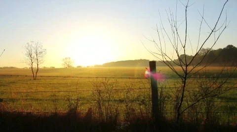FenceLine Sunrise Stock Footage 809963