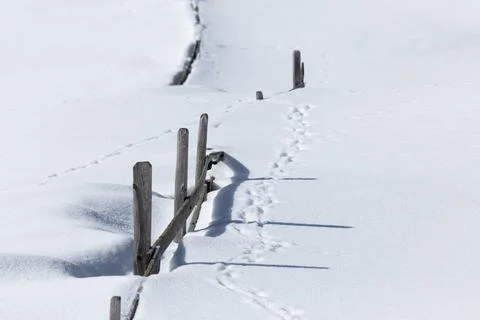 Fenceposts standing in snow Stock Photos