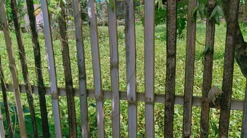 Fences made of bamboo Foto stock