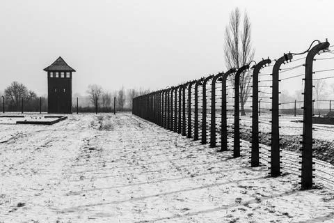 Fences strung with electrified barbed wire Stock Photos