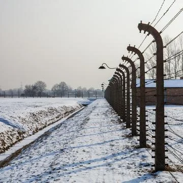 Fences strung with electrified barbed wire Stock Photos