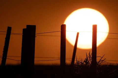 Fences at sunset Stock Photos