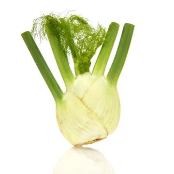 Fenchel Foto stock