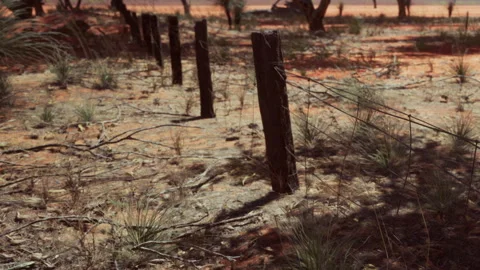 Fencing along an open area in a dry landscape during the day Stock Footage 344157780