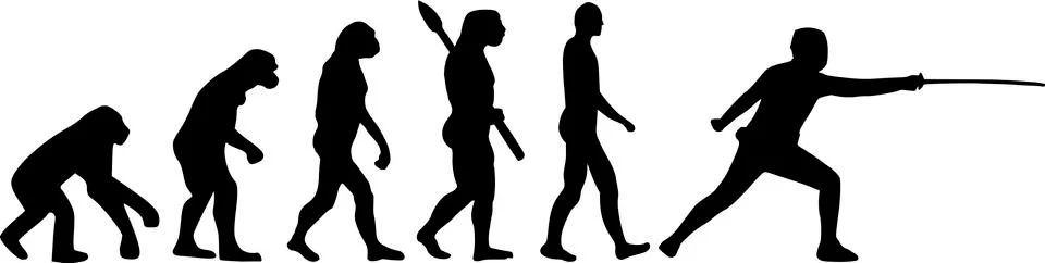 Fencing Evolution Stock-Illustration