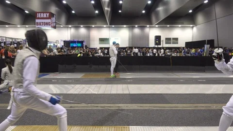 Fencing Stock Footage 87490727