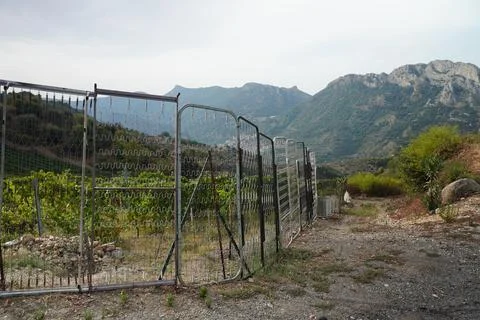 Fencing mesh. 스톡 사진
