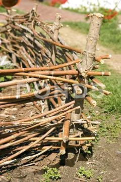 Fencing Stock Photos
